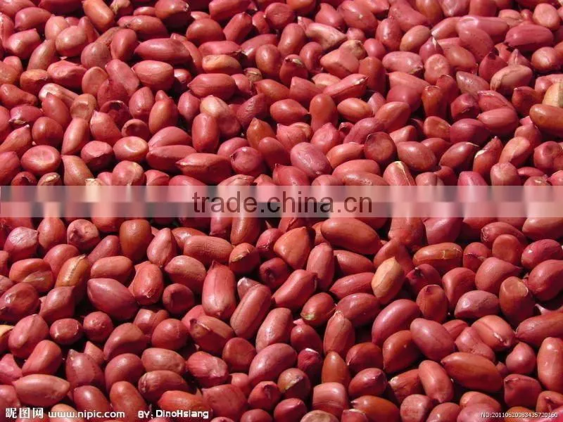 Chinese Peanut Kernel