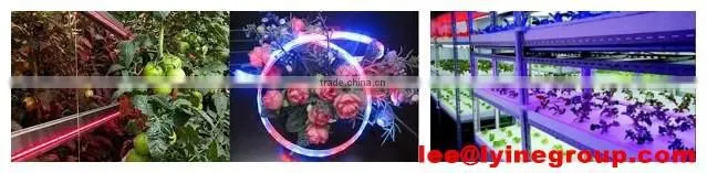 50m/Roll Waterproof flexible SMD5050 rgb Led Strip led lights manufacturing