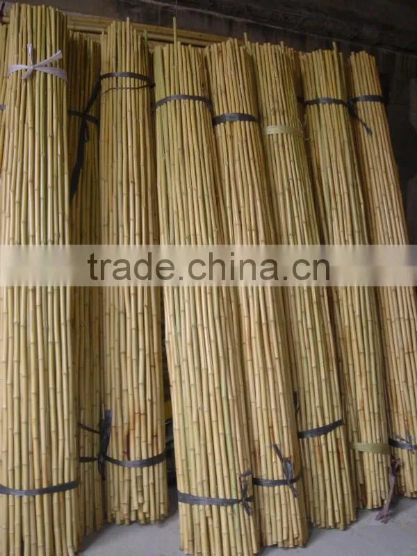 Garden Bamboo Trellis