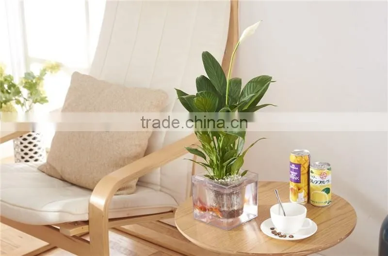 Round Clear Plastic Orchid Pot