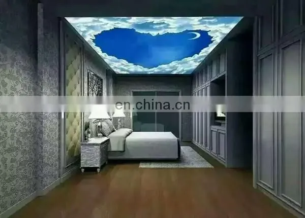 1 meter size ceiling uv printing machine with two head