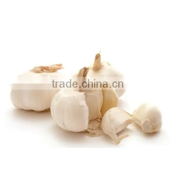 Pure white garlic snow white garlic Jinxiang white garlic