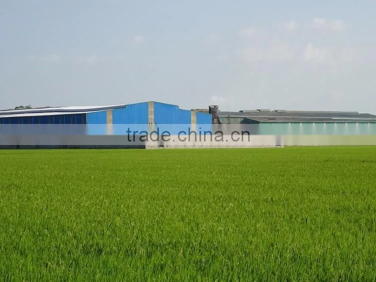Vietnam Japonica Rice (Calrose Rice)