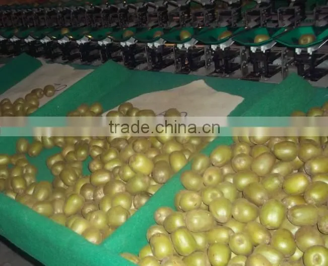 Vegetable Weighting Sorting Machine for tomato, beans,pear, kiwi fruit, apple