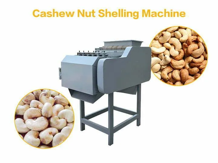 Cashew Kernel and Shell Separator Machine