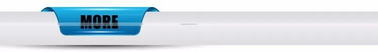 Lovely Bird Pen Container LED Night Light Desk Light child light