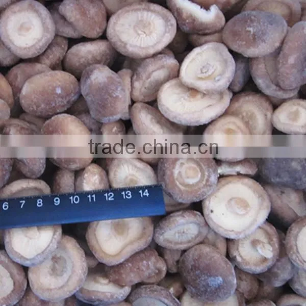 Iqf Frozen Shiitake Mushroom Whole / Slices / 1/4 Cuts /quarter