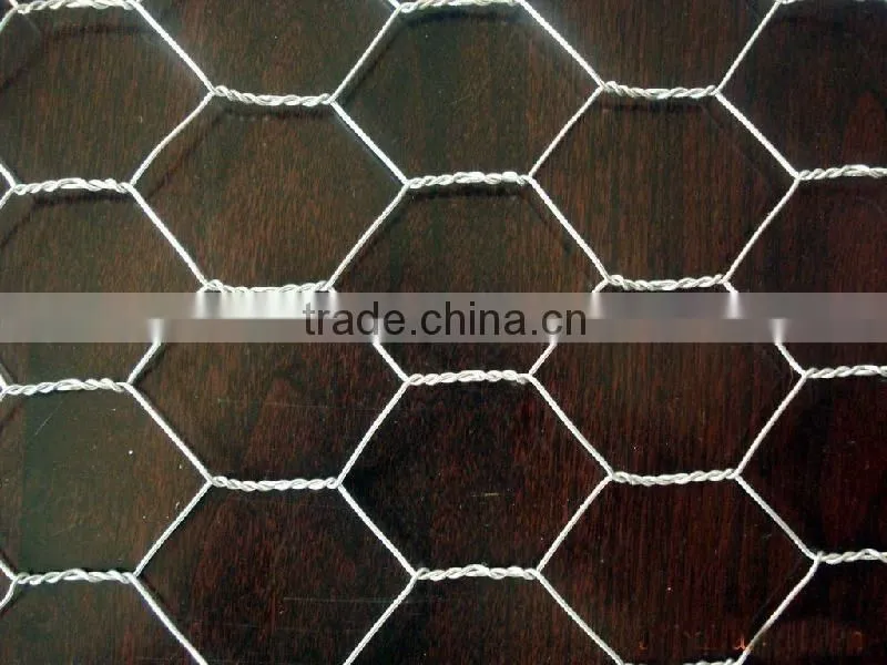 25mm x 1.2m x 25m Gi Hexagonal Wire Mesh For Dubai Market/Chicken wire mesh rolls
