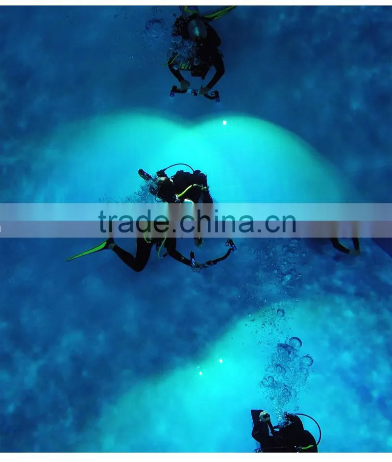 Wholesale Price Underwater Waterproof Torch For Diving Photo / Video