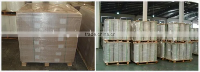 PA/PE co-extruded vacuum thermoforming film