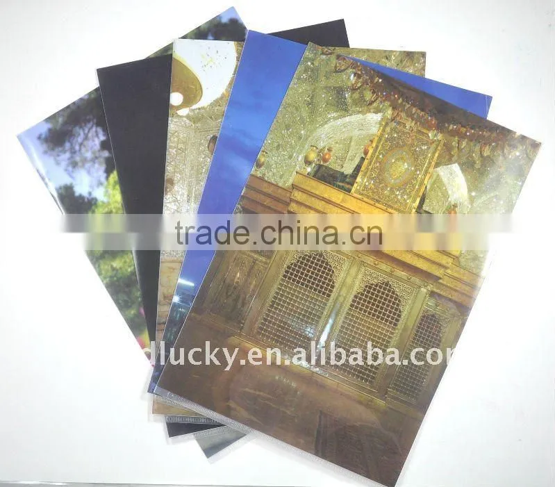 Useful gift A4 A5 pp file folder/pp plastic folder for office