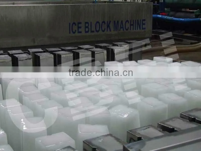 containerized block ice machine hot sale in Africa
