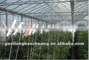 Tomato Hook