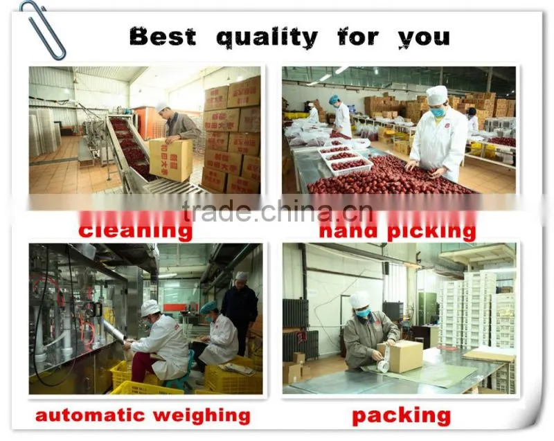 best seller dried red jujube dried fruits sweet jujube