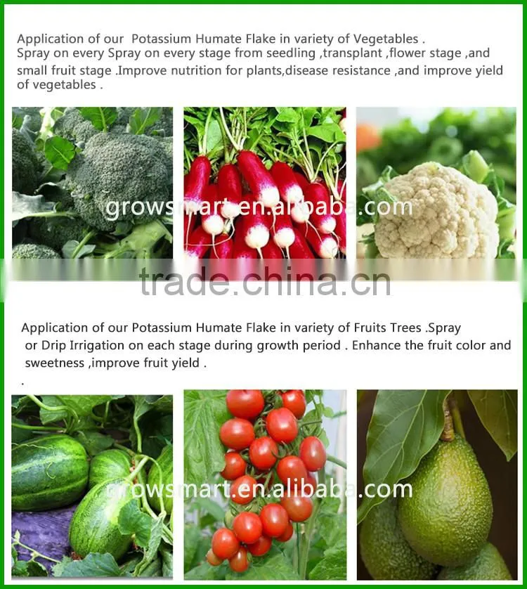 Eco-friendly provide potassium humate own leonardite mine