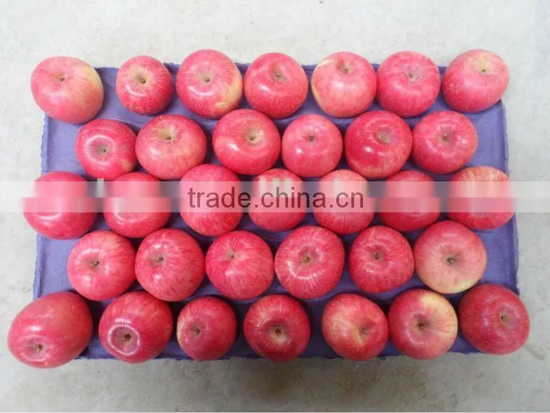 2015 shandong FUJI APPLE