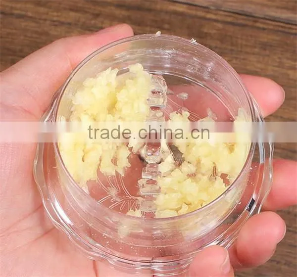 HOT Multipurpose Plastic Kitchen Garlic Ginger Mincer