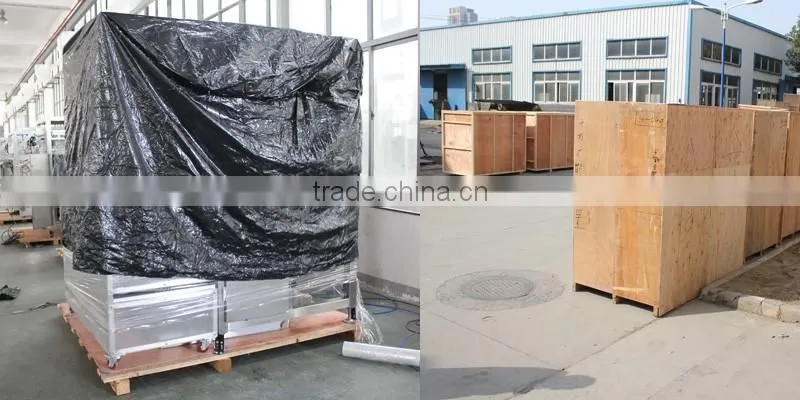CF1-300 automatic feeding premade 4 side seal bag packaging machine