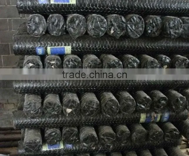 HOT SALE!!! PVC Coated Hexagonal Wire Netting (MANUFACTURER&FACTORY )