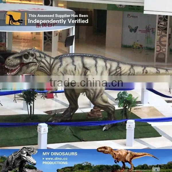 MY Dino-C087 Museum realistic resin dinosaur models