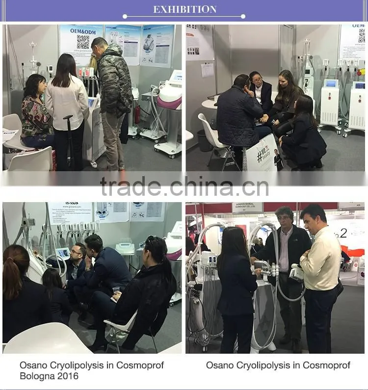 kryolipolysis 3 Handles Cryo Therapy Fat Freeze Machine