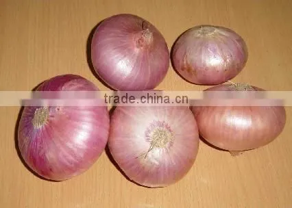 Fresh onion in 10kg mesh bag package.MOQ:1X40FCL.