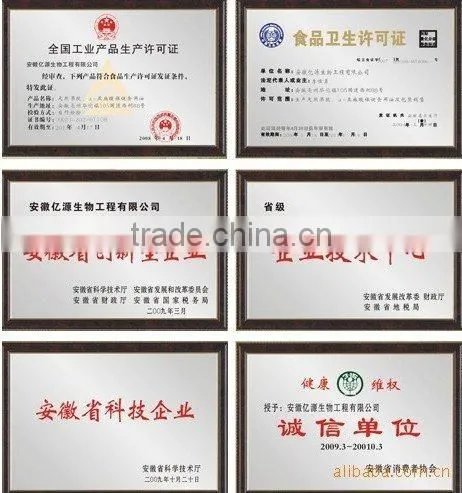 Panax notoginseng