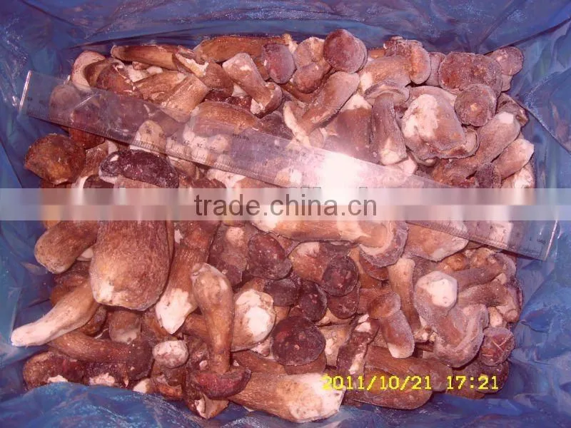 Frozen Wild Boletus Edulis