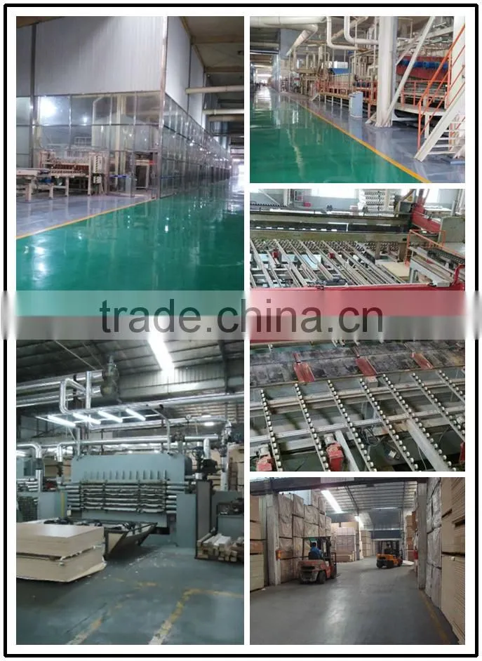 packing plywood vietnam 4 ft. x 8 ft. 3mm-28mm/kitchen decoration polyester plywood china waterproof plywood vietnam