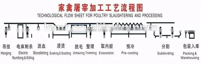 high quality poultry slaughter machines for slaughtering