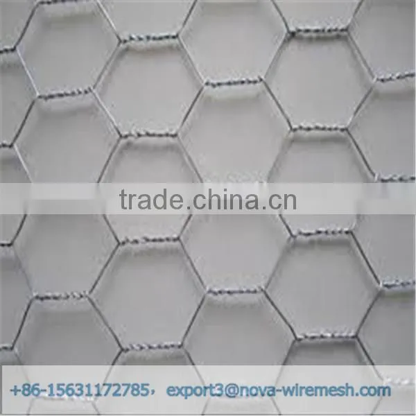 Low cost hexagonal netting /chicken wire mesh/ poultry hexagonal netting for sale