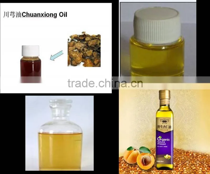 Good Sale Multifunctional lavender essential oil extracting machine/Essential Oil Extractor