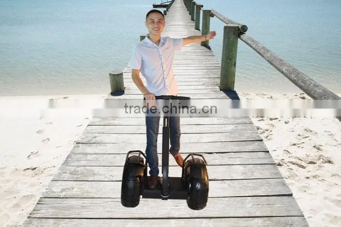 zappy 2 wheel self balancing electric scooter 2000w 84v leadway (W5L-122)