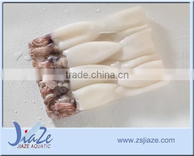 baby squid loligo BQF T+T