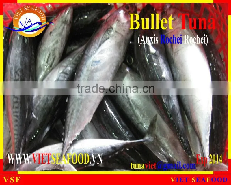 W/R BULLET TUNA