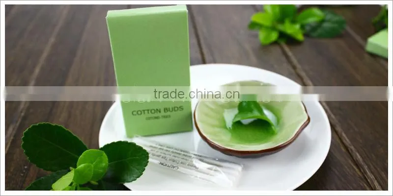 Environmentally Friendly Bathroom Toothbrush Hotel Amenities