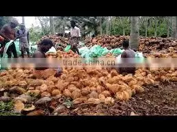 Fresh vegetables and fruits in organic