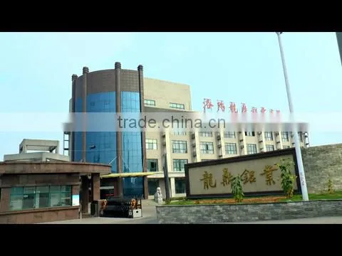 Luoyang Longding Aluminium Co., Ltd. company overview - view 1