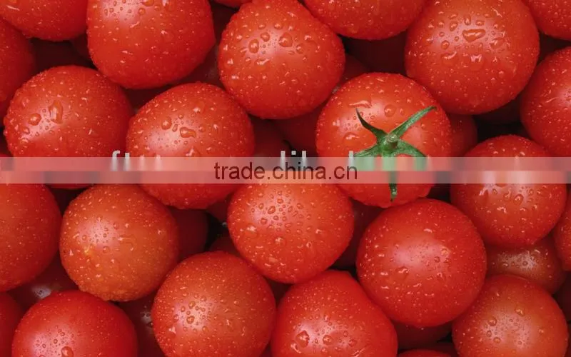 IQF cherry tomato