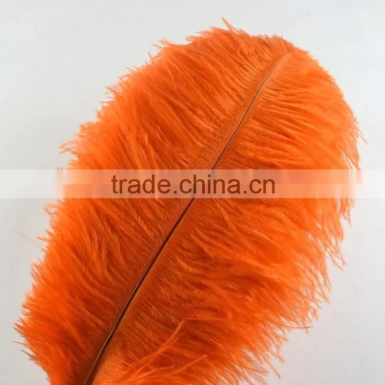 Wholesale Natural ostrich feather, colored ostrich feathers for wedding and party decoration