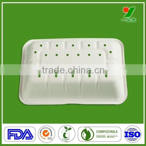 Professional Manufacturer Top Grade 90days Biodegradable Composable Hygiene Sugarcane Bagasse Molded Pulp Fruit Packaging Plates
