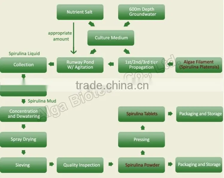 Fresh spirulina food with multiple trace element