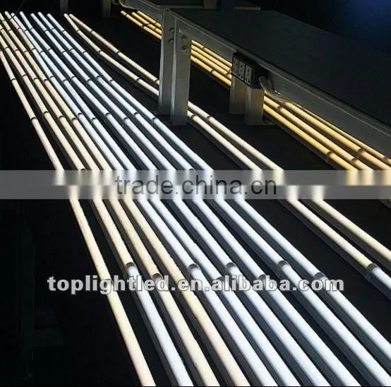 High lumen smd2835 t5 led tube light / t5 led tube 600mm / t5 integrated led tube
