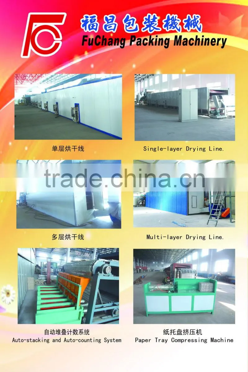 small egg tray machine