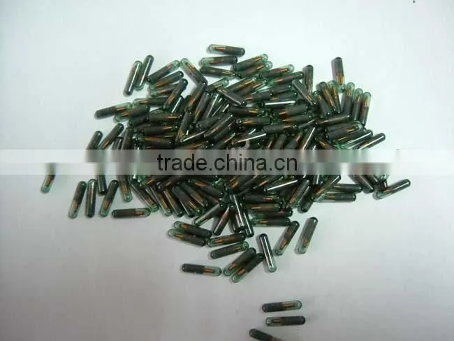 ID13 (T2) Glass VAGS Transponder