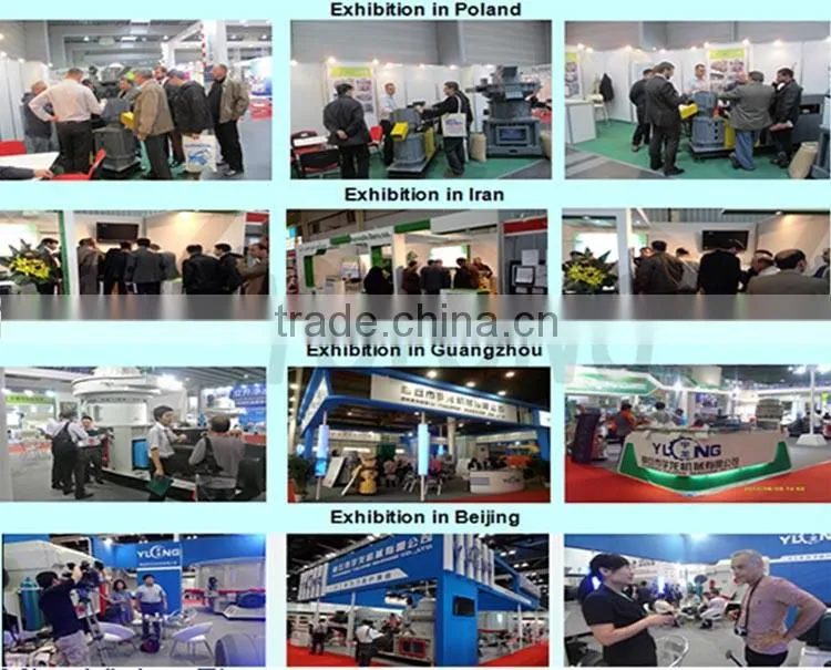 Ribbon organic fertilizer mixer (500kg/batch)