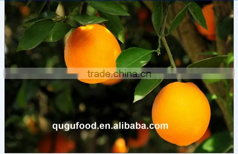 2014 New crop orange tea in jar best price