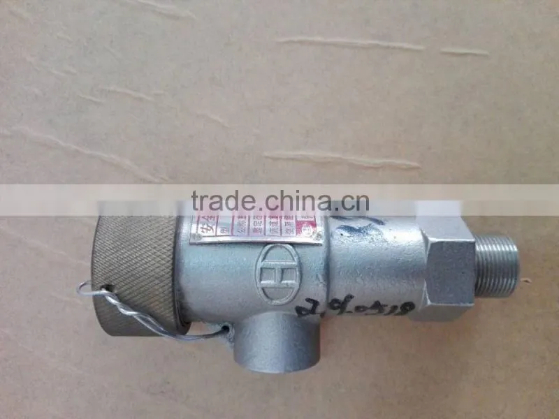 DN25 2.42MPa Safety Valve