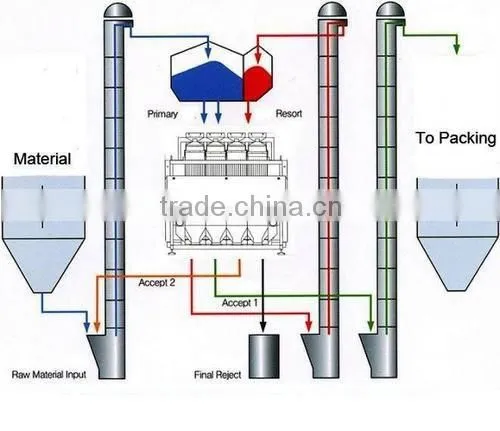 Rice Color Sorter Machine for Myanmar Rice