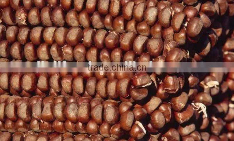 frozen chestnut diced 2014